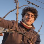 Taille Clos de l'Elu Thomas