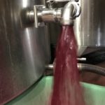 Vendanges 2019 en images