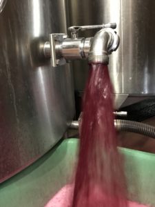 Vendanges 2019 en images