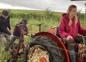 Bataille contre l’herbe