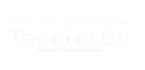 Logo Terre de l'Elu
