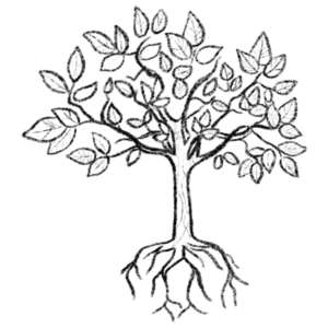 Agroécologie - Terre de l'Elu